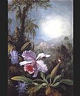 Martin Johnson Heade Orchids Passion Flowers and Hummingbird painting